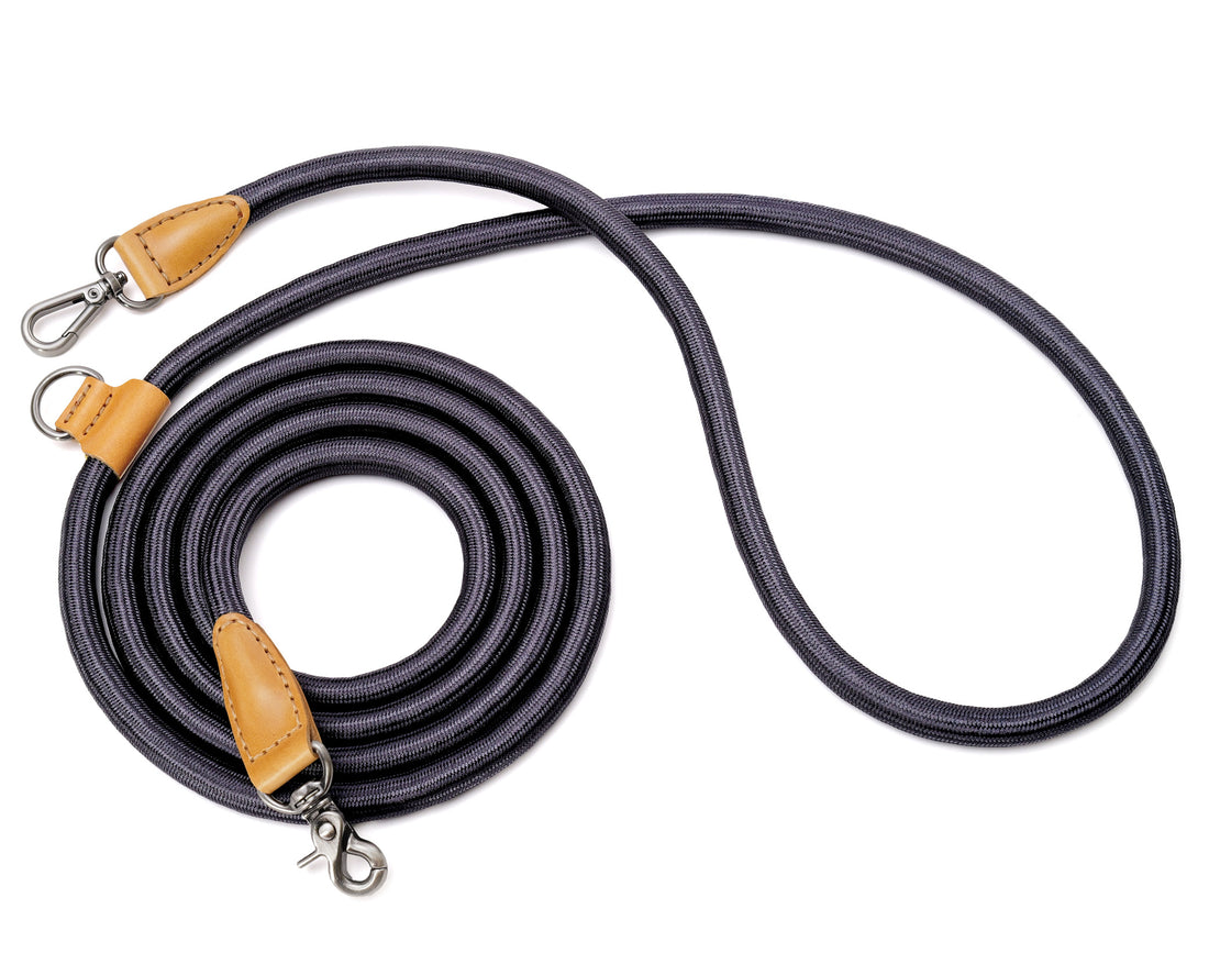 Hands-Free Ray Leash