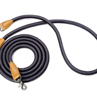 Hands-Free Ray Leash