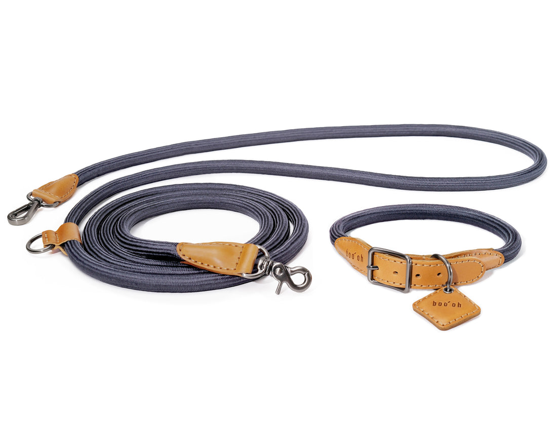 Hands-Free Ray Collar + Leash Set