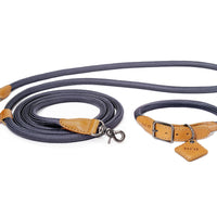 Hands-Free Ray Collar + Leash Set