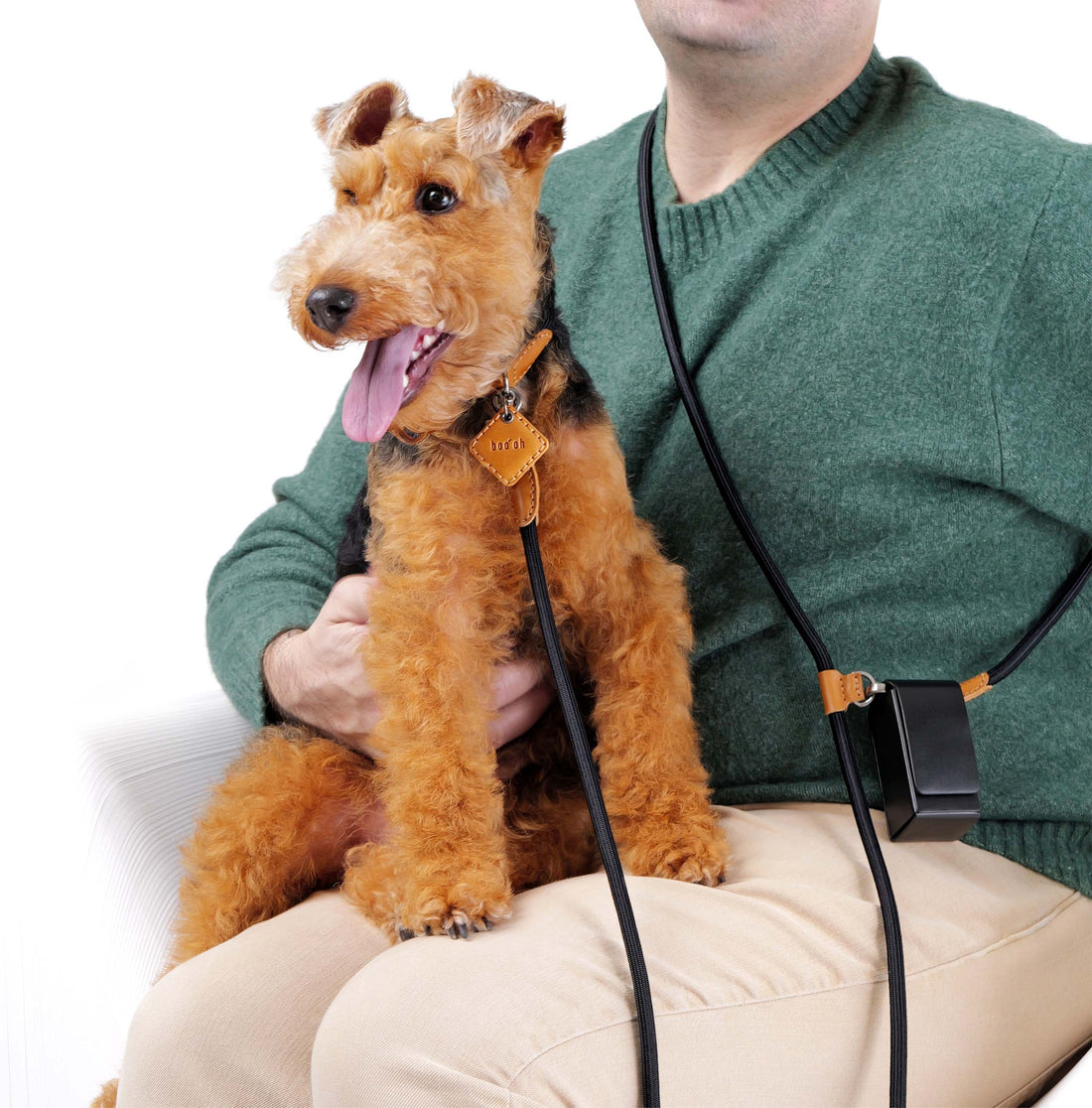 Hands-Free Ray Collar + Leash Set