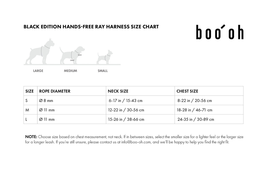 Hands-Free Ray Harness | Black Editon