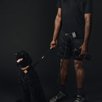 Hands-Free Ray Harness | Black Editon