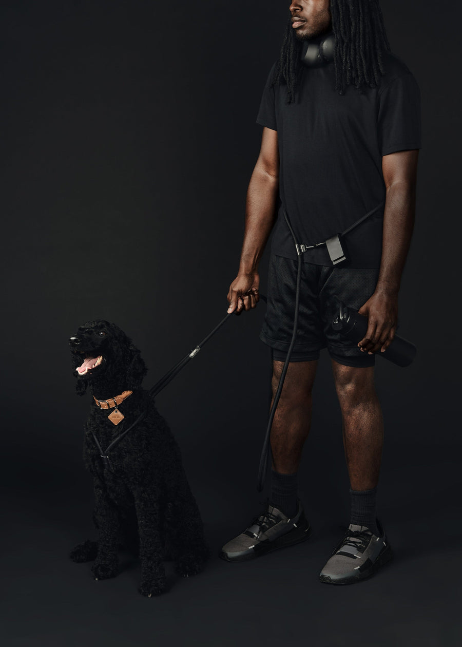 Hands-Free Ray Harness | Black Editon