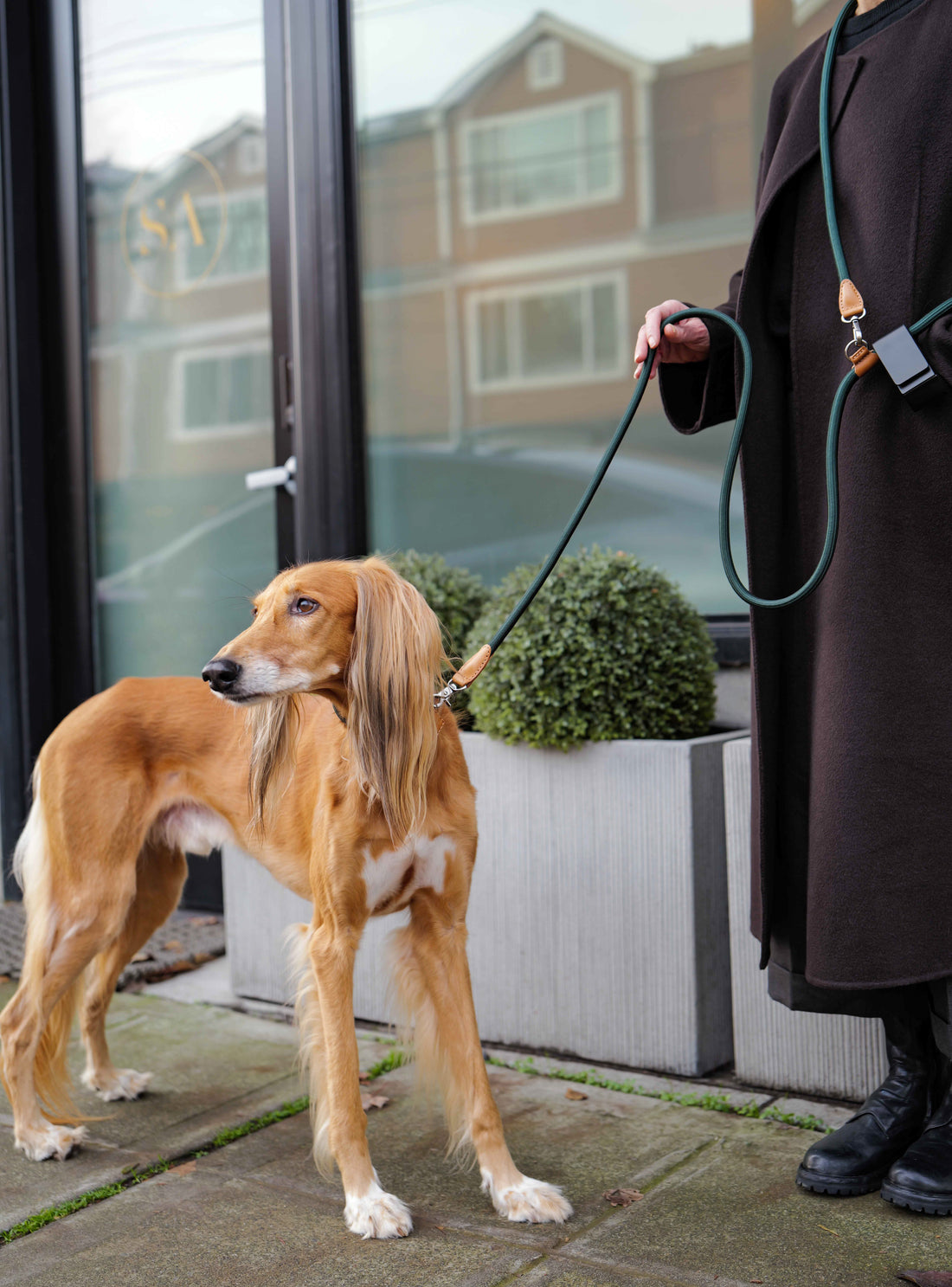 Hands-Free Ray Leash