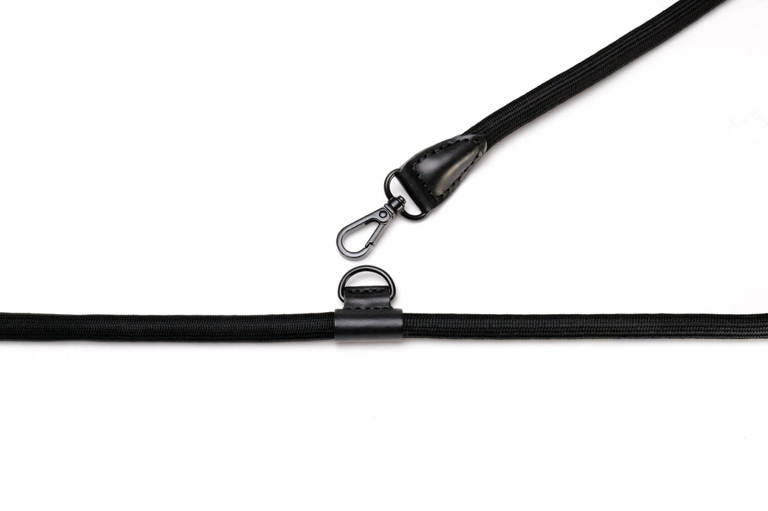 Hands-Free Ray Harness | Black Editon