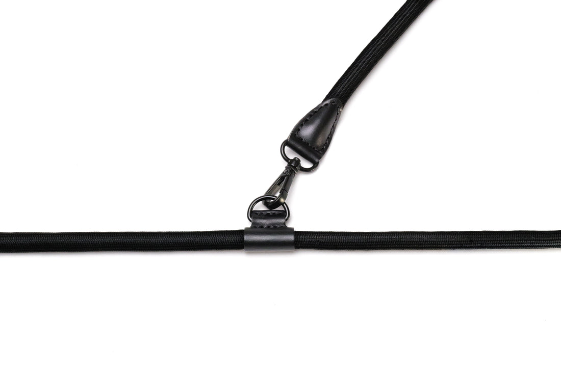 Hands-Free Ray Harness | Black Editon