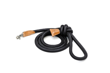 Ray Leash