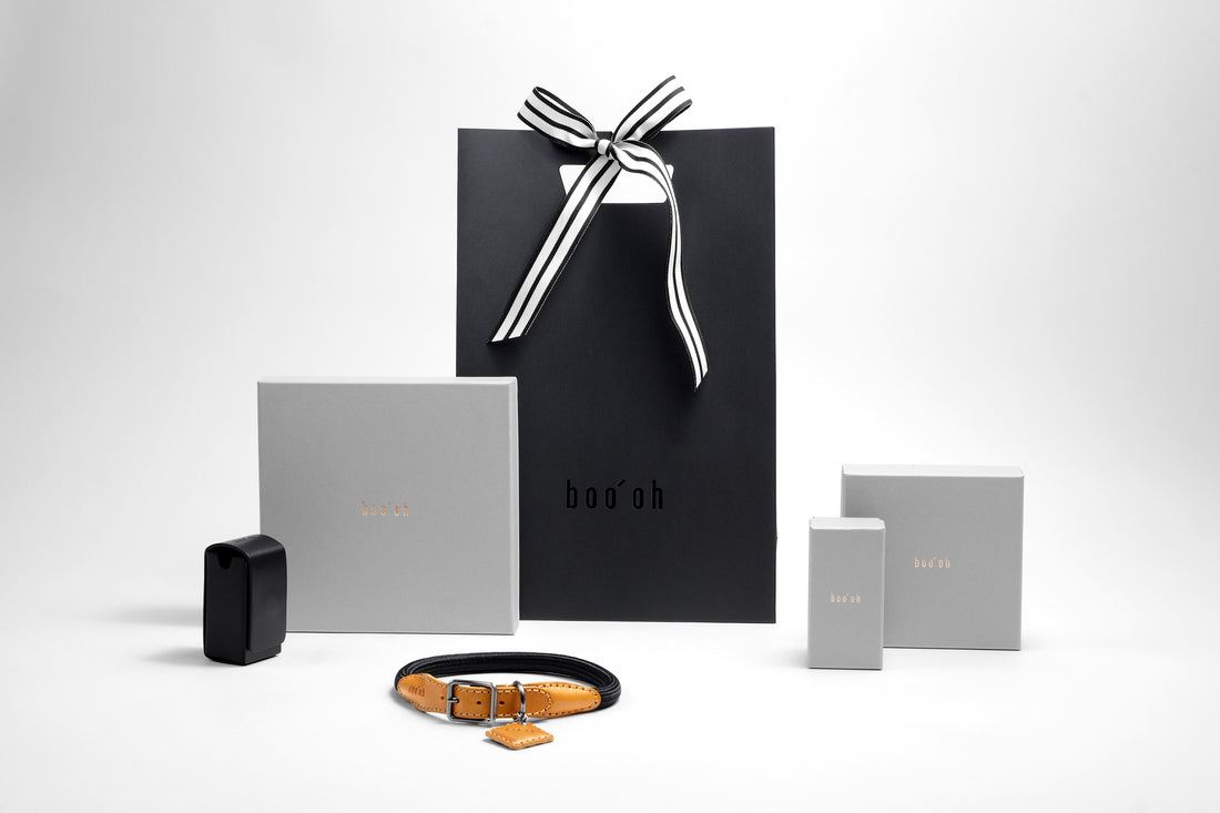 Boo Oh Gift Bag