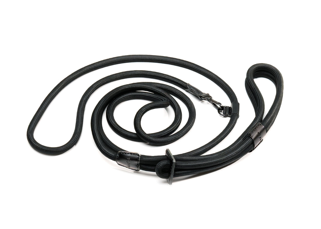 Hands-Free Ray Harness | Black Editon
