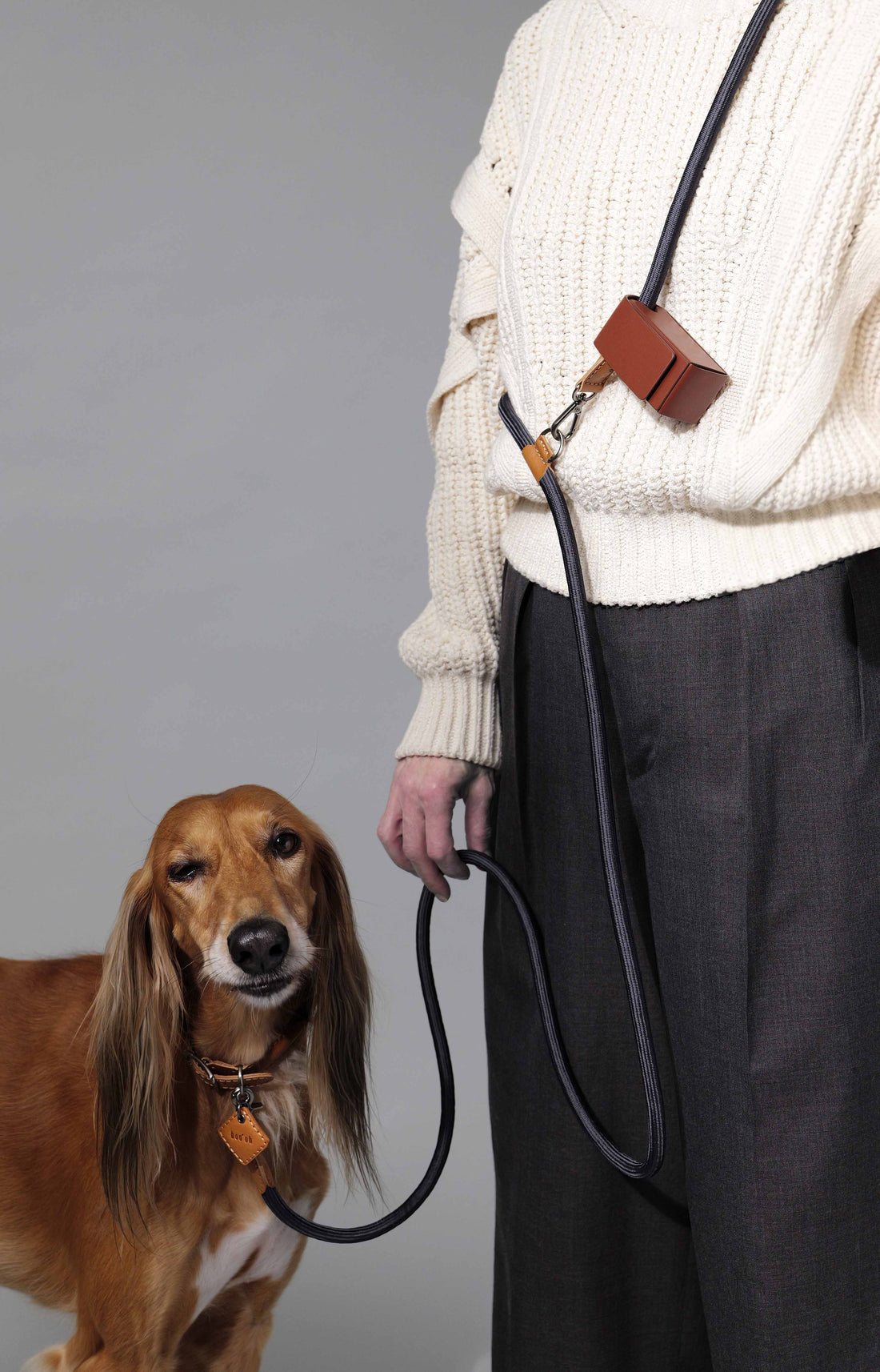 Hands-Free Ray Collar + Leash Set