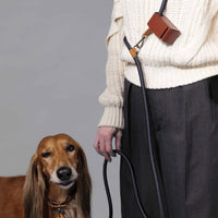 Hands-Free Ray Collar + Leash Set