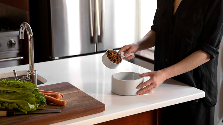 A woman pours kibble with the Mogo scooper into the white Mogo bowl.