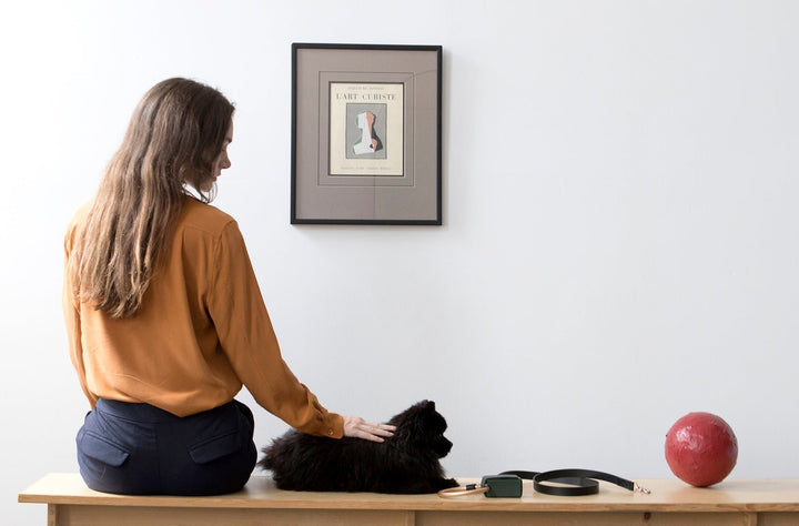 Woman and black Pomeranian dog sitting on a bench with black Lumi leash and green Toto bag next to them.