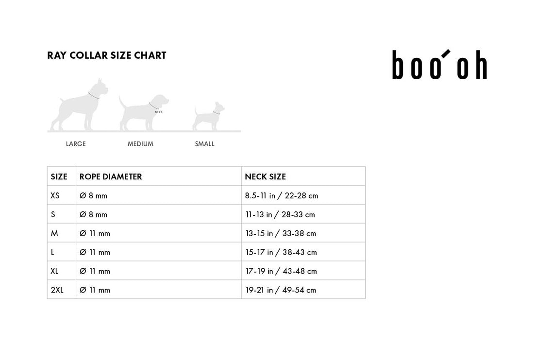 Ray Collar + Leash Set