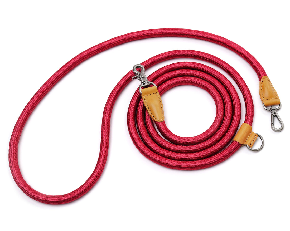 Hands-Free Ray Leash