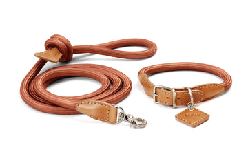 Ray Collar + Leash Set