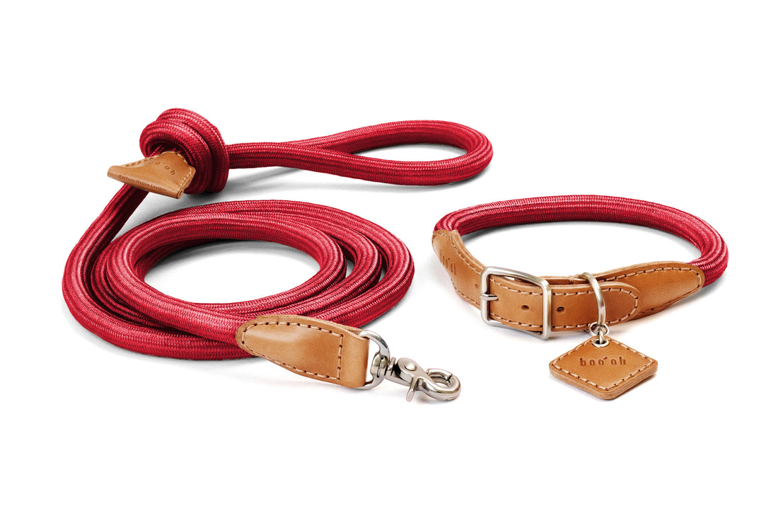 Collar Leash Garden Grove Collar Leash Set Leather Dog Collar