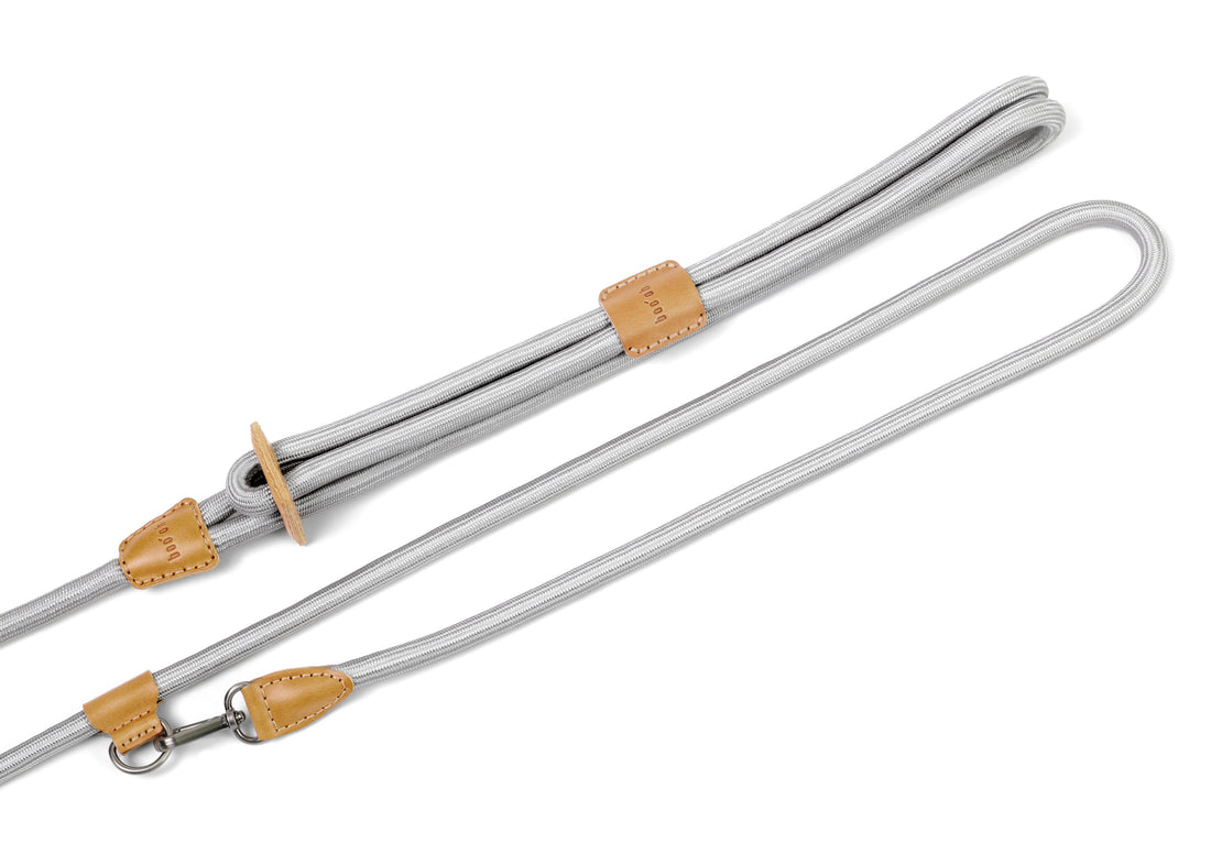 Hands-Free Ray Harness