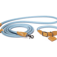Hands-Free Ray Collar + Leash Set