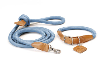 Ray Collar + Leash Set