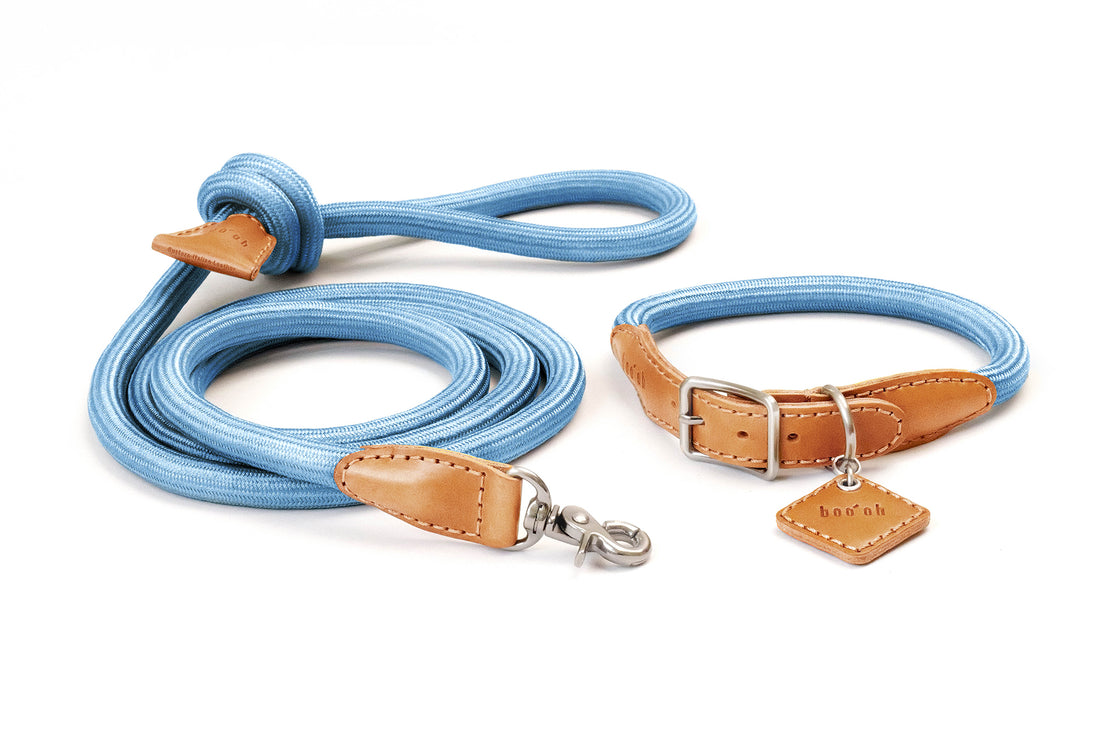 Ray Collar + Leash Set