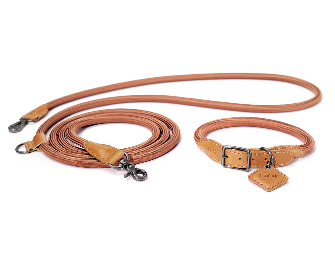 Hands-Free Ray Collar + Leash Set