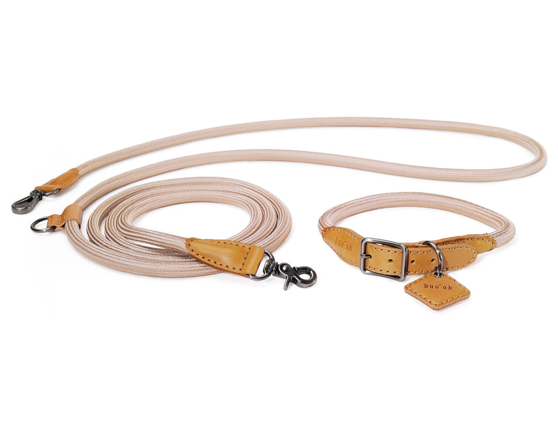 Hands-Free Ray Collar + Leash Set