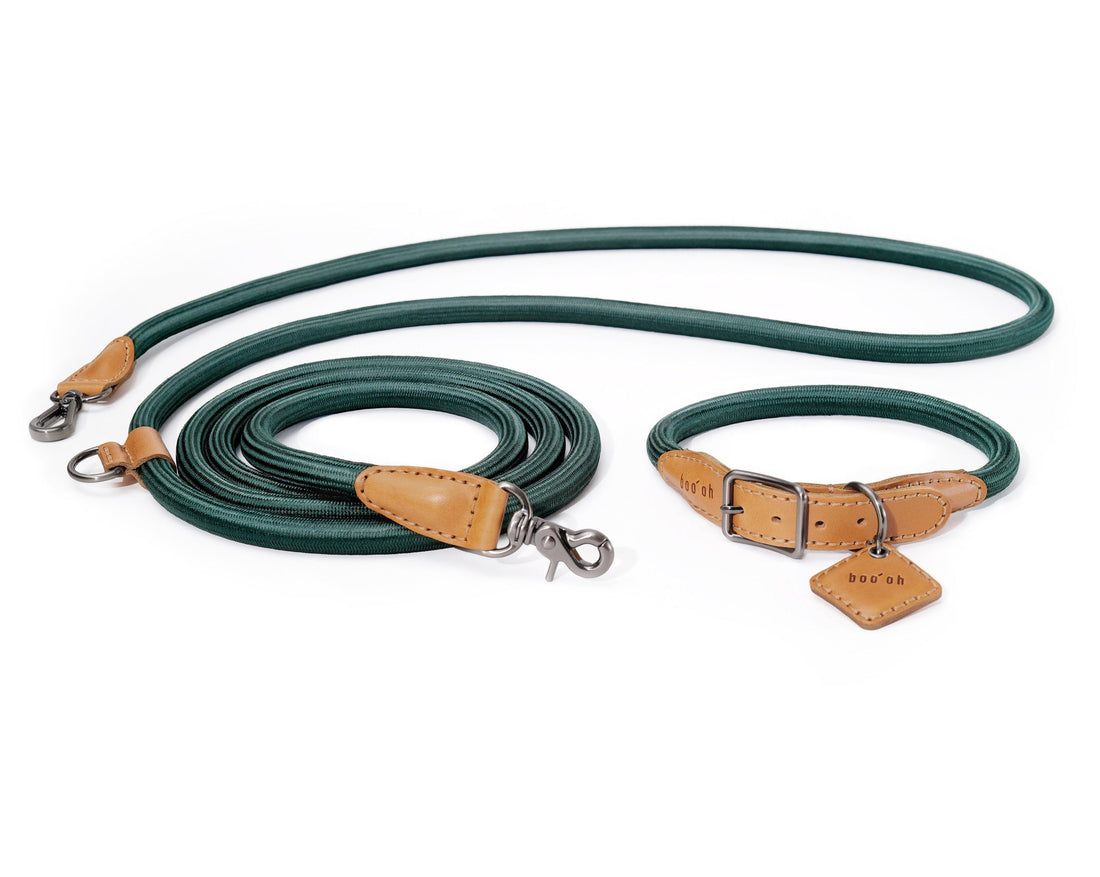 Hands-Free Ray Collar + Leash Set