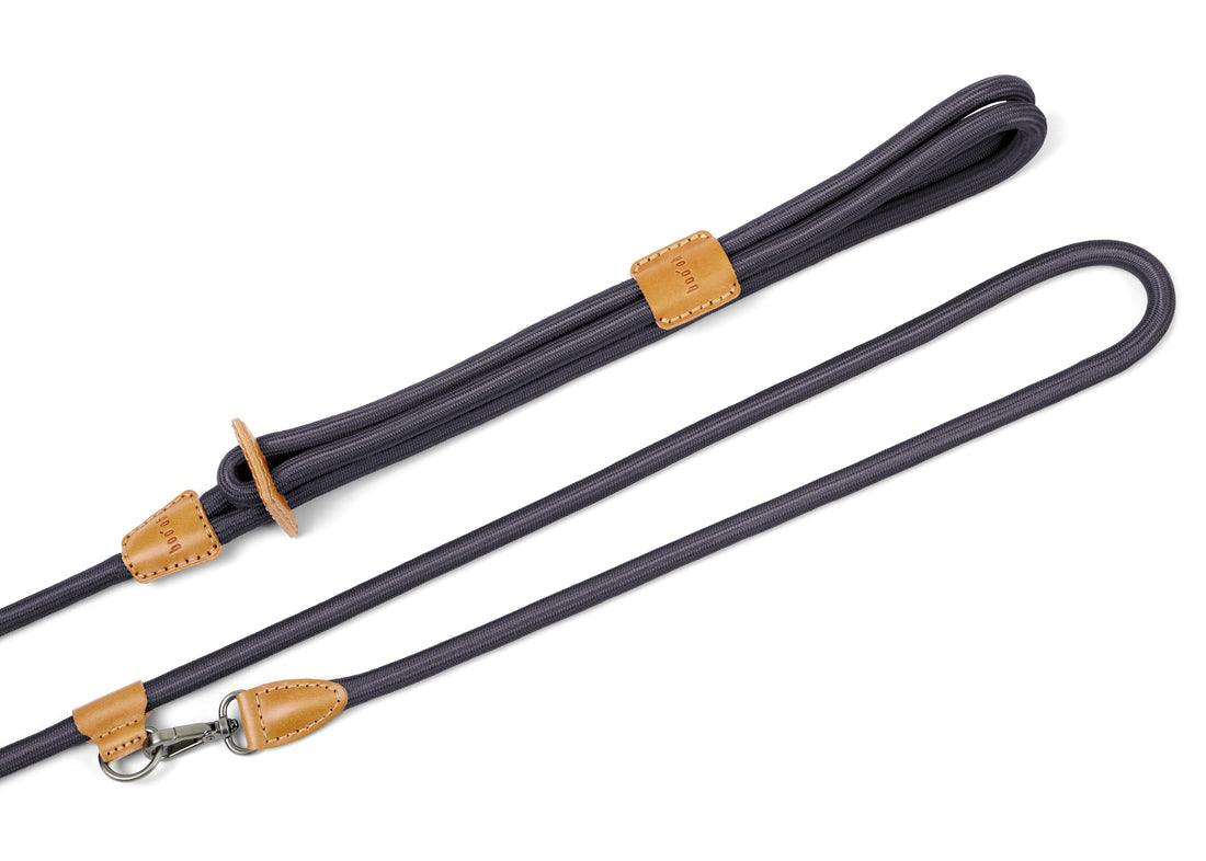 Hands-Free Ray Harness