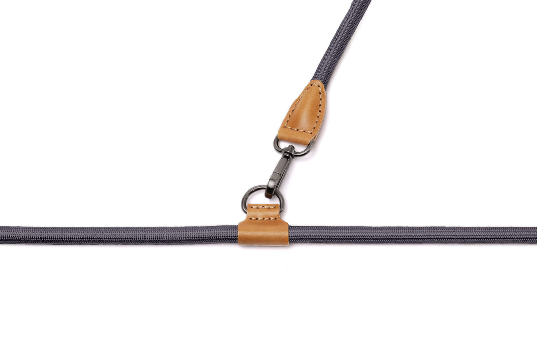 Hands-Free Ray Harness