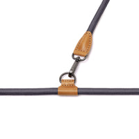 Hands-Free Ray Harness