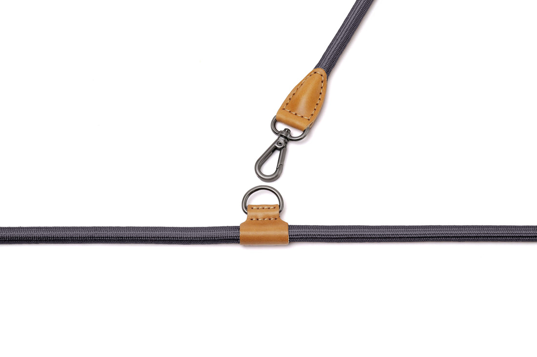 Hands-Free Ray Harness