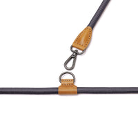 Hands-Free Ray Harness