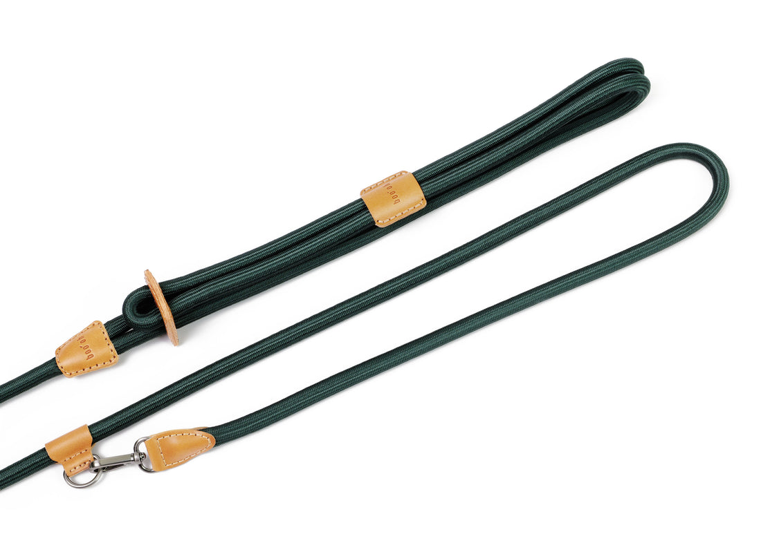 Hands-Free Ray Harness