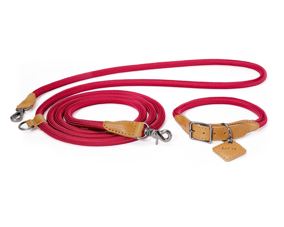 Hands-Free Ray Collar + Leash Set
