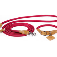 Hands-Free Ray Collar + Leash Set