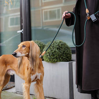 Hands-Free Ray Leash