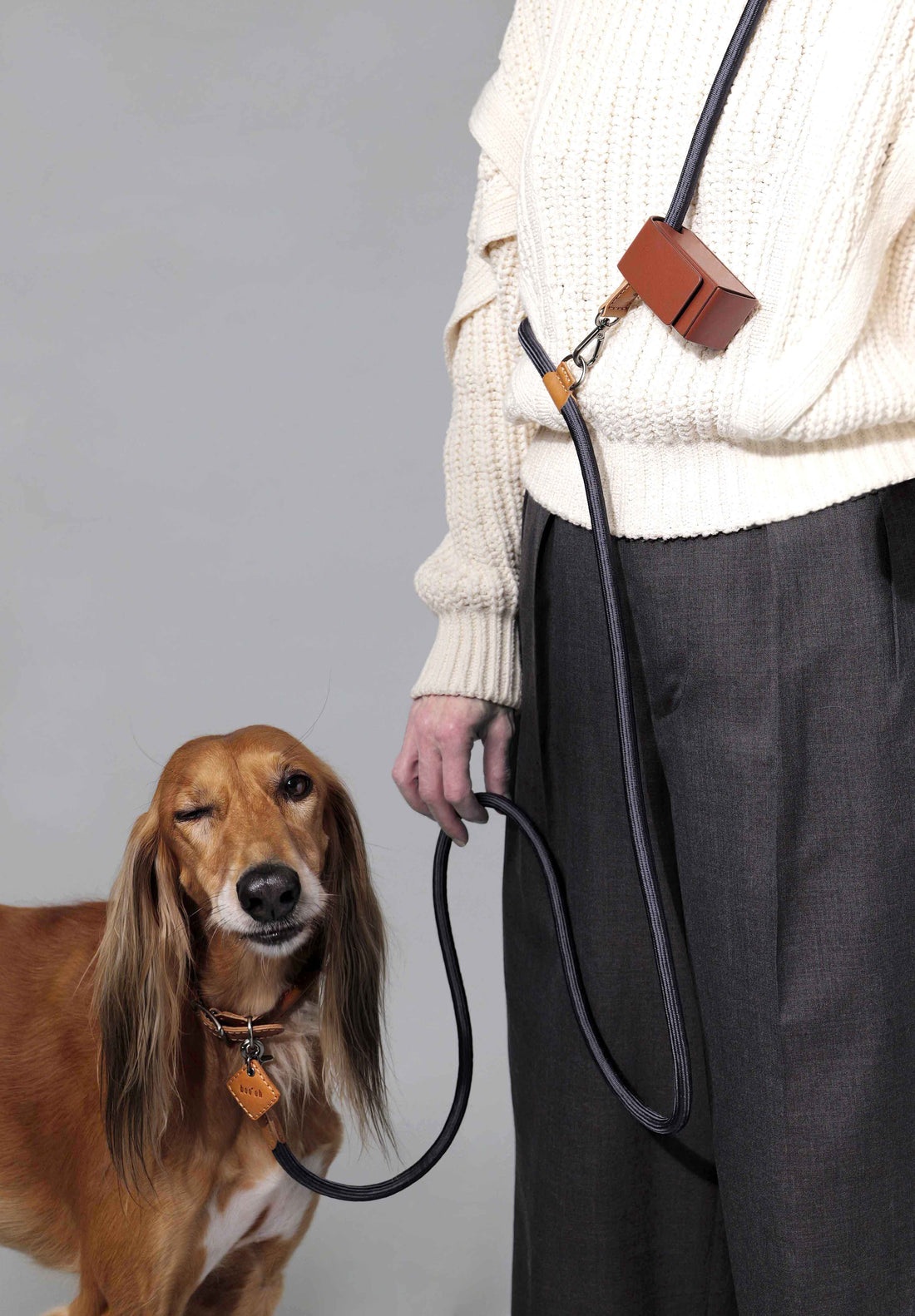 Hands-Free Ray Collar + Leash Set