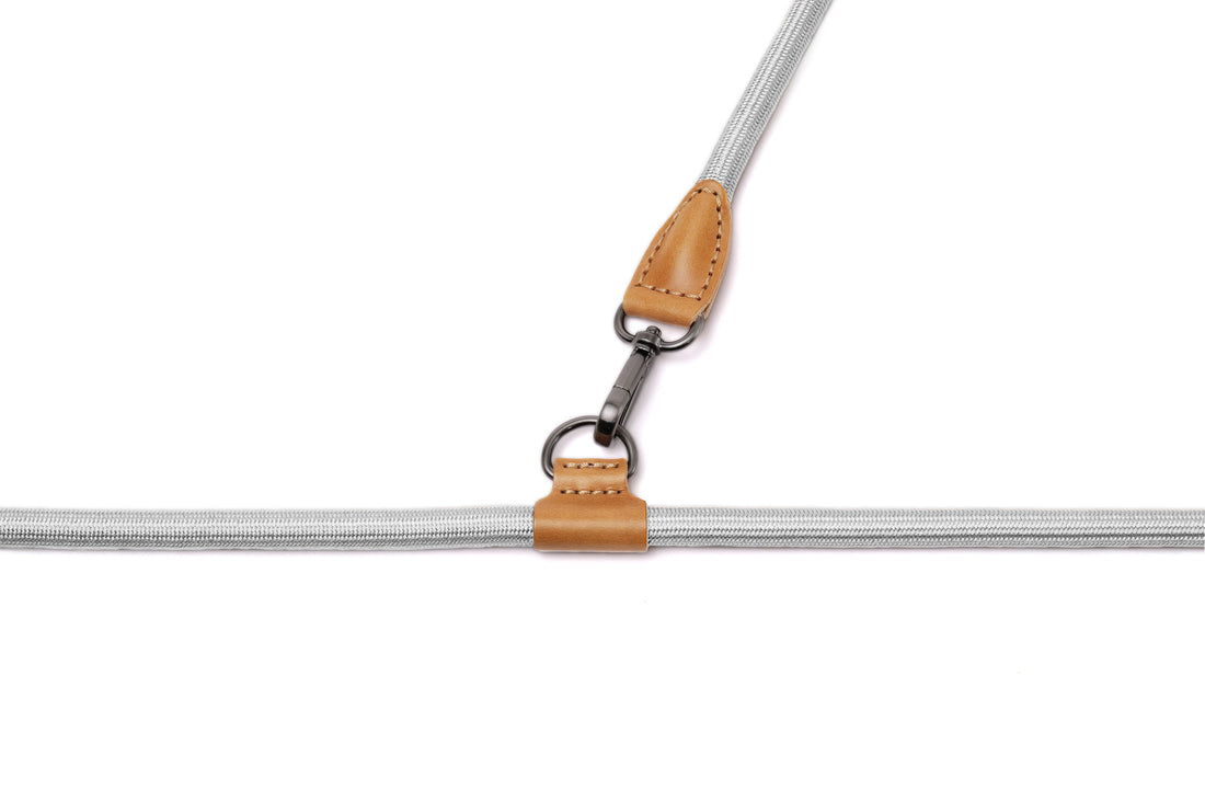 Hands-Free Ray Harness