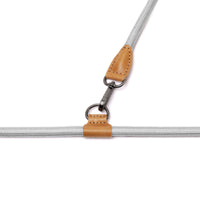 Hands-Free Ray Harness