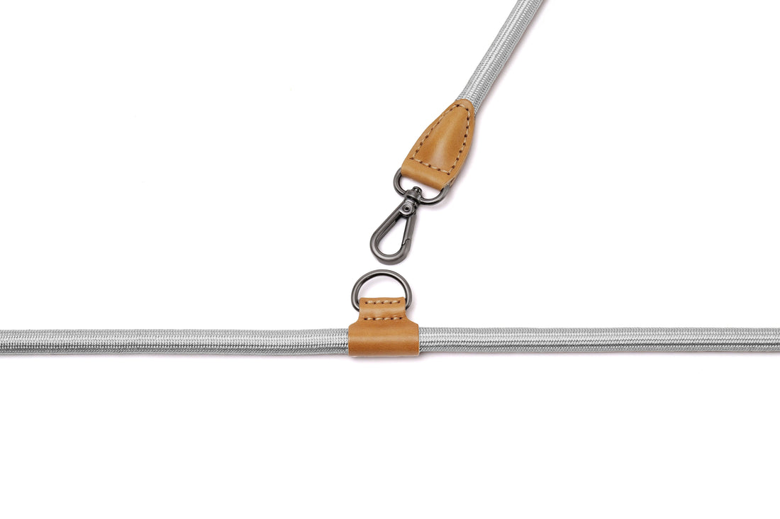 Hands-Free Ray Harness