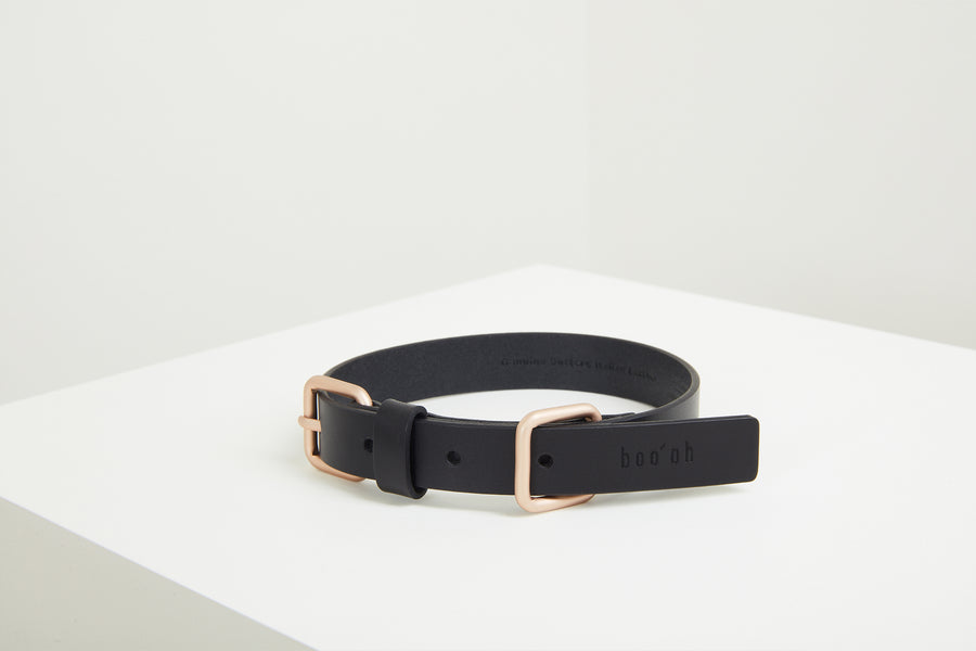 Lumi Leash and Collar Set