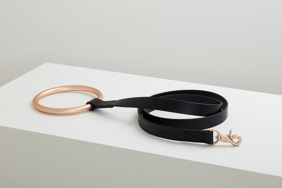 Lumi Leash and Collar Set