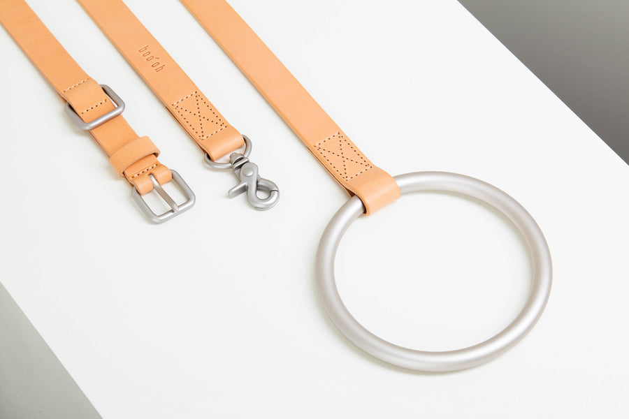 Lumi Leash and Collar Set