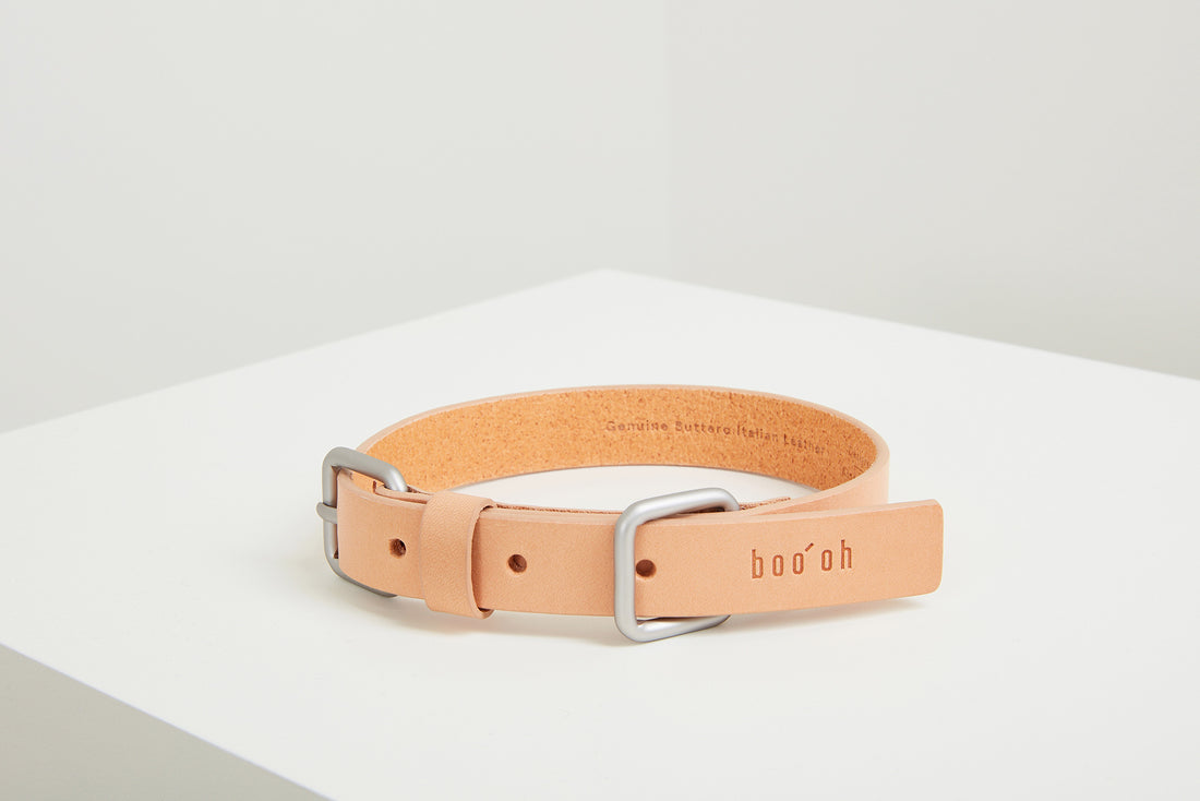 Lumi Collar